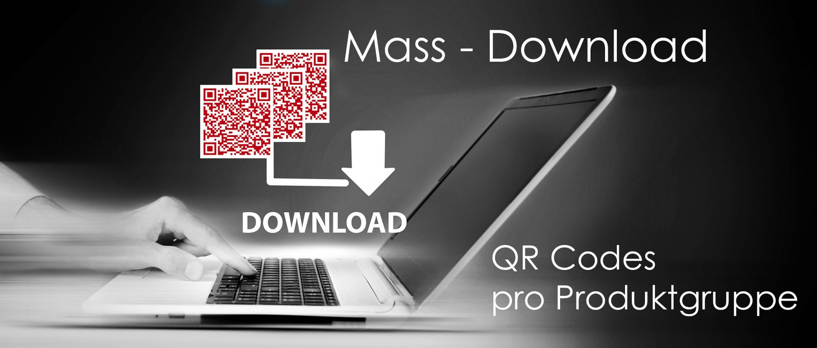 Massendownload QR Codes von Produktgruppen